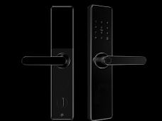 青松沃德-Wi-Fi 指紋鎖家用防盜門智能門鎖密碼鎖刷卡電子鎖 防磁干擾 防撬 L9-WT (不含鎖體，鎖體需另購）